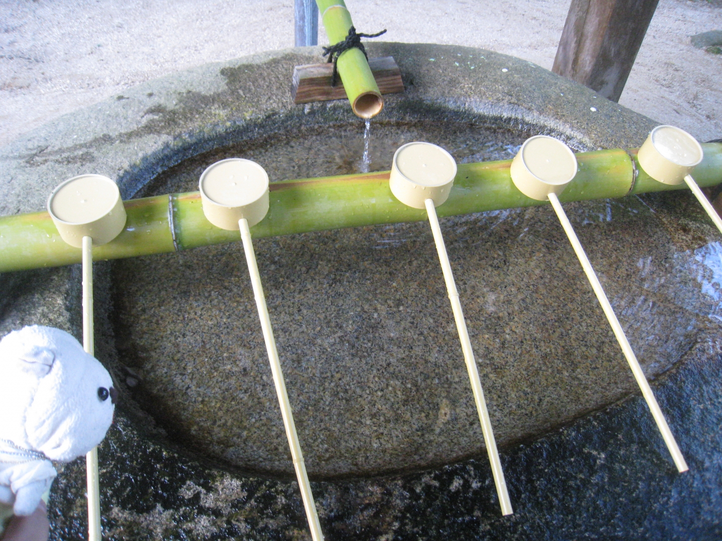 玉作湯神社でお参り（3）