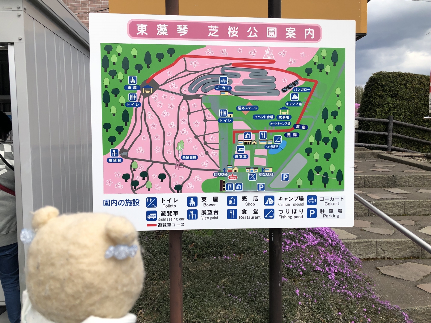 ひがしもこと芝桜公園（3）