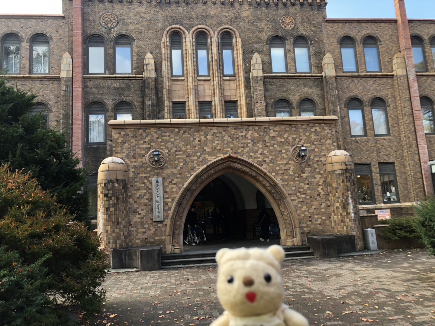 北海道大学（１）（4）