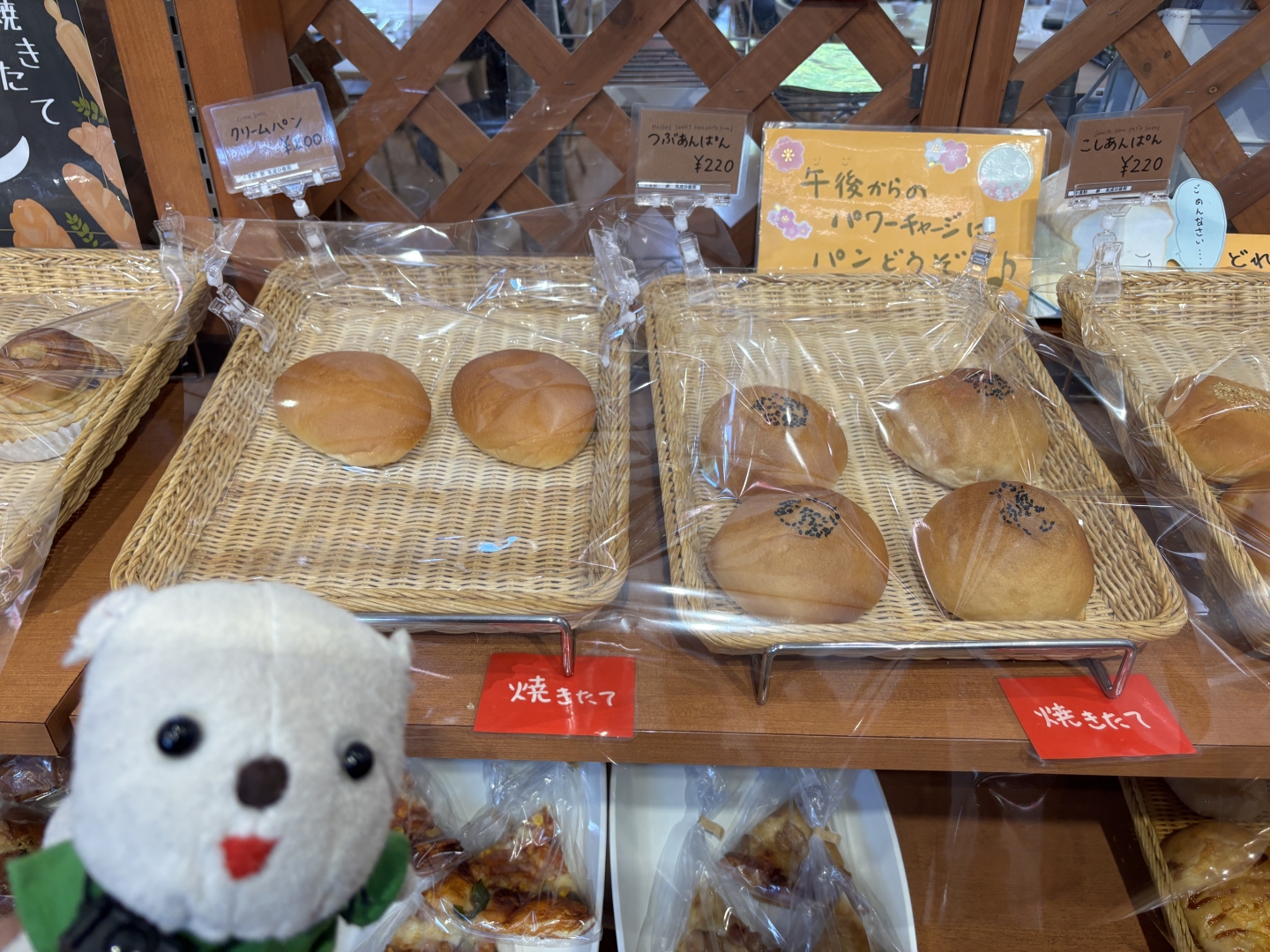 道の駅あかいがわ（7）