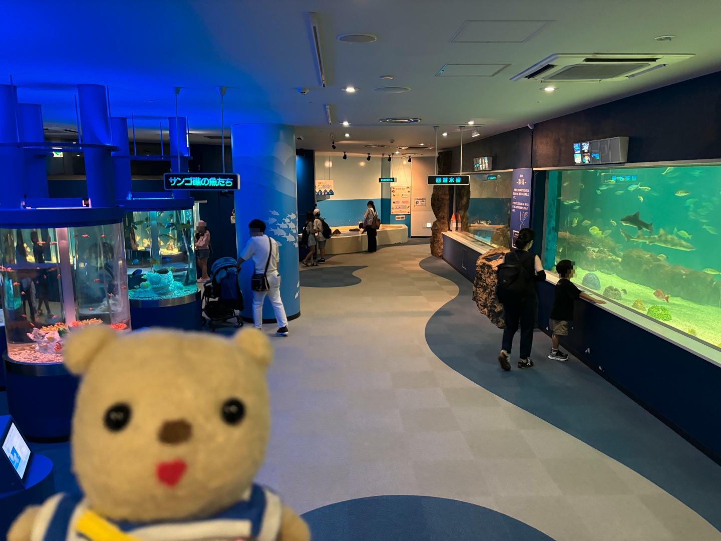 新さっぽろサンピアザ水族館フロア
