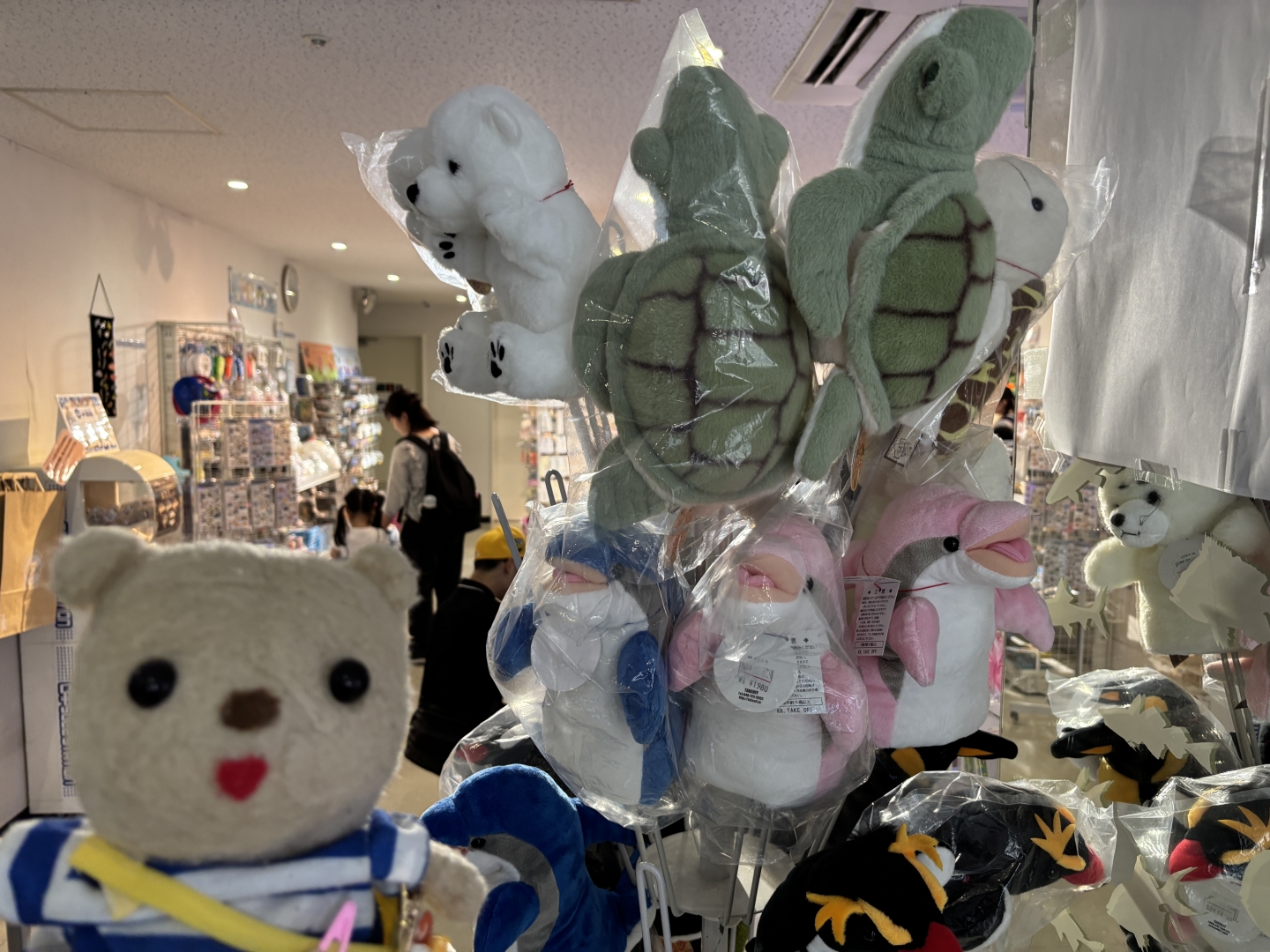 お土産コーナー