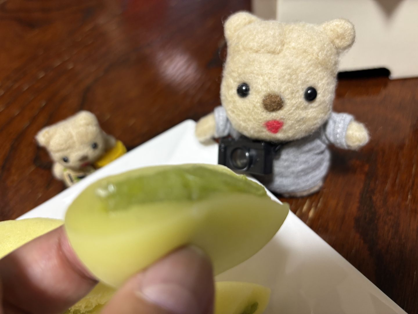 中秋の名月2025（10）