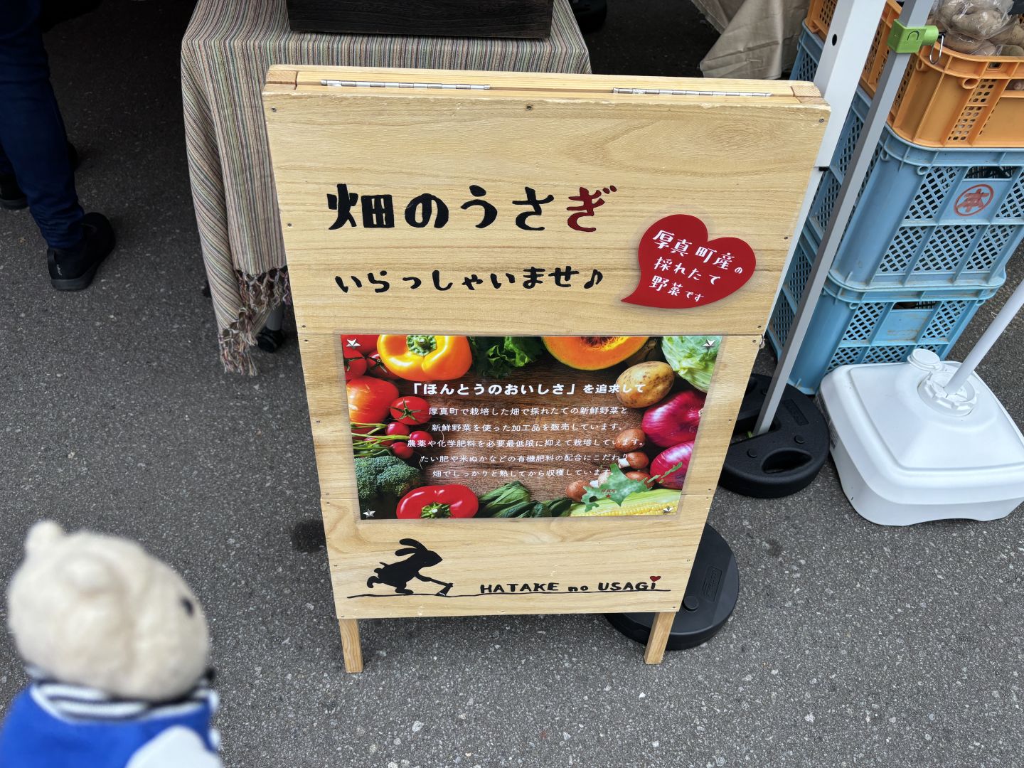 厚真町のお野菜・畑のうさぎへお邪魔する