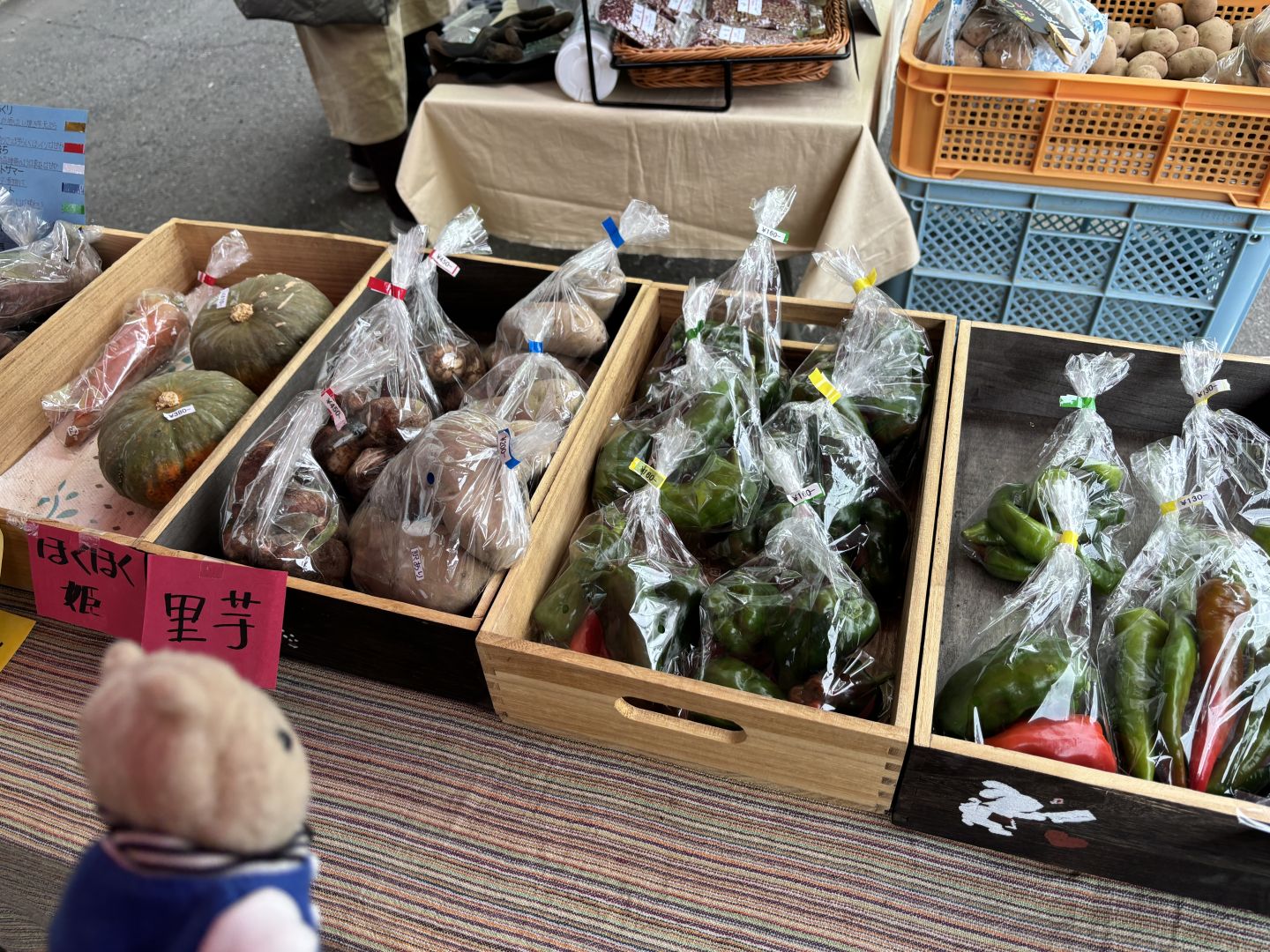 お茶の土倉（11）