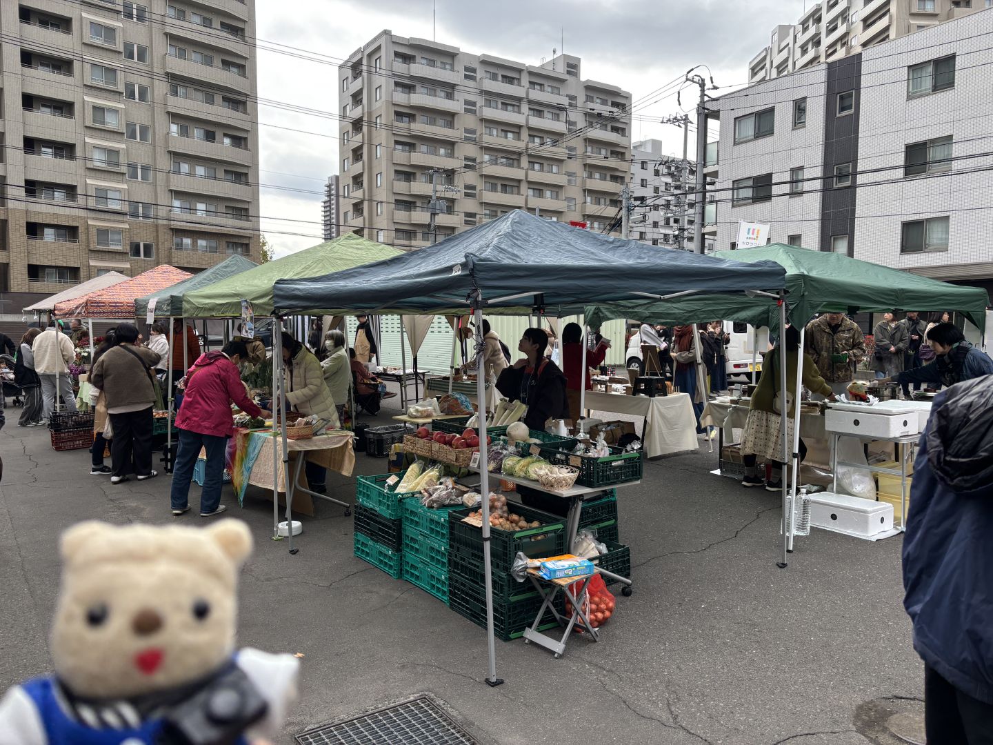 お茶の土倉（13）