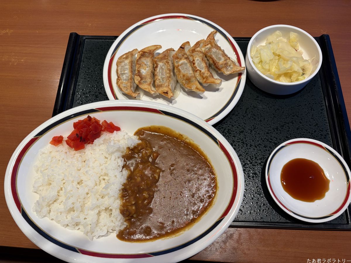 カレーと餃子のセット