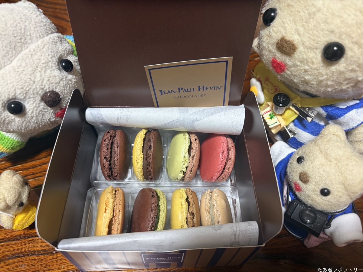 マカロン8個セット