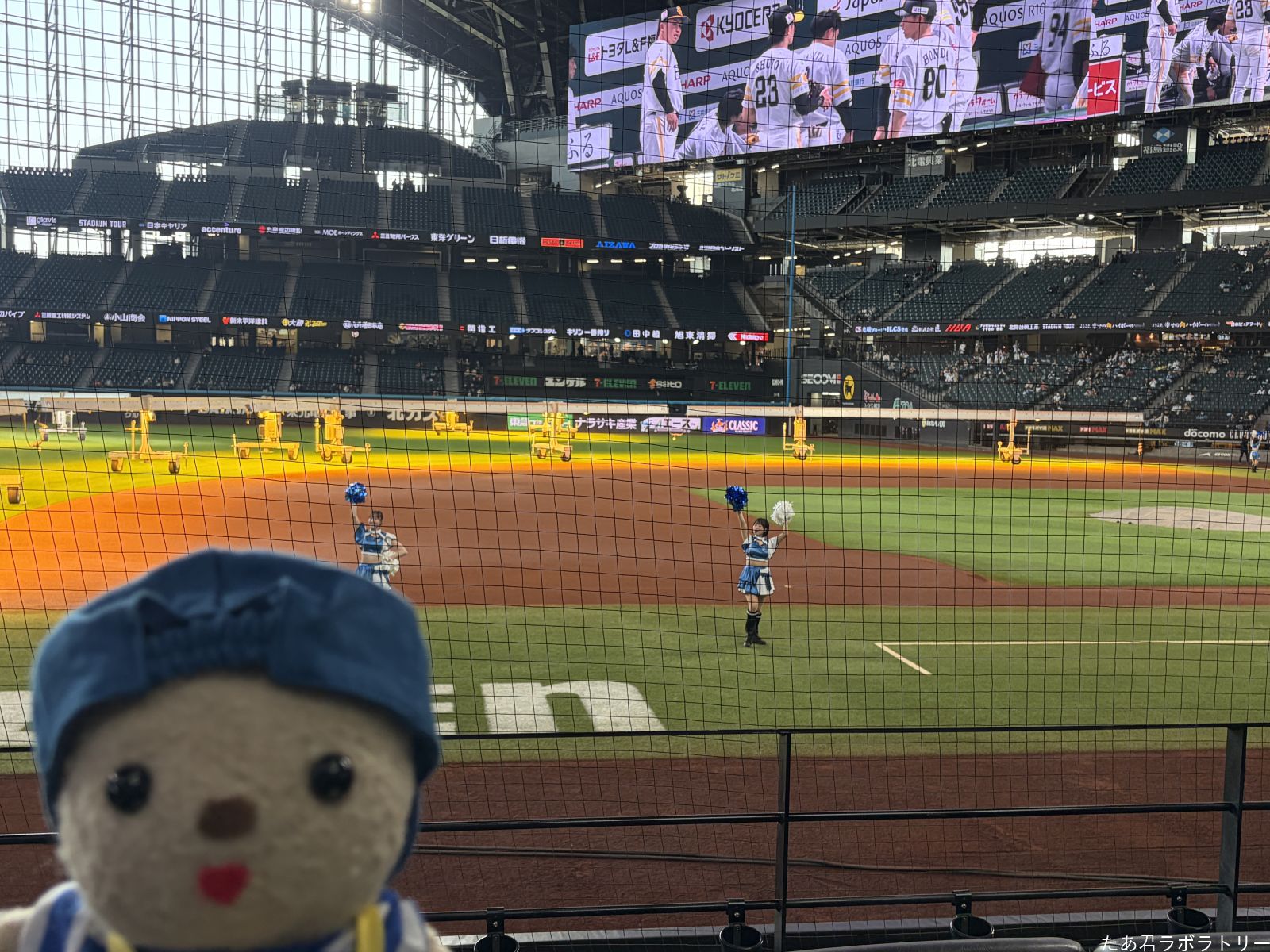 エスコンフィールド（0）