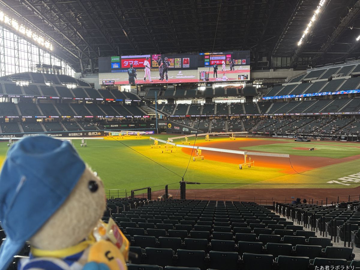 エスコンフィールド（17）