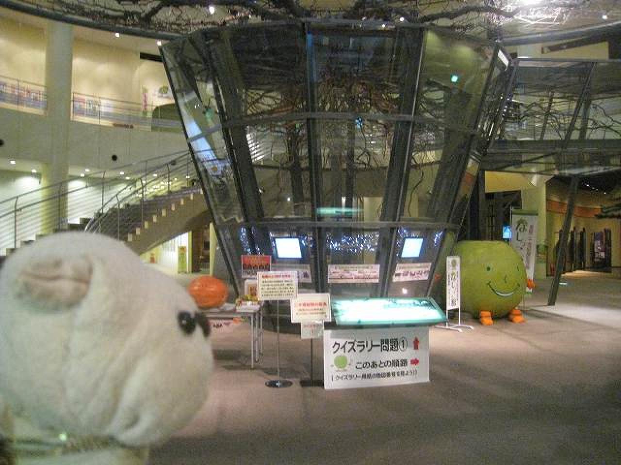 二十世紀梨記念館なしっこ館(2)