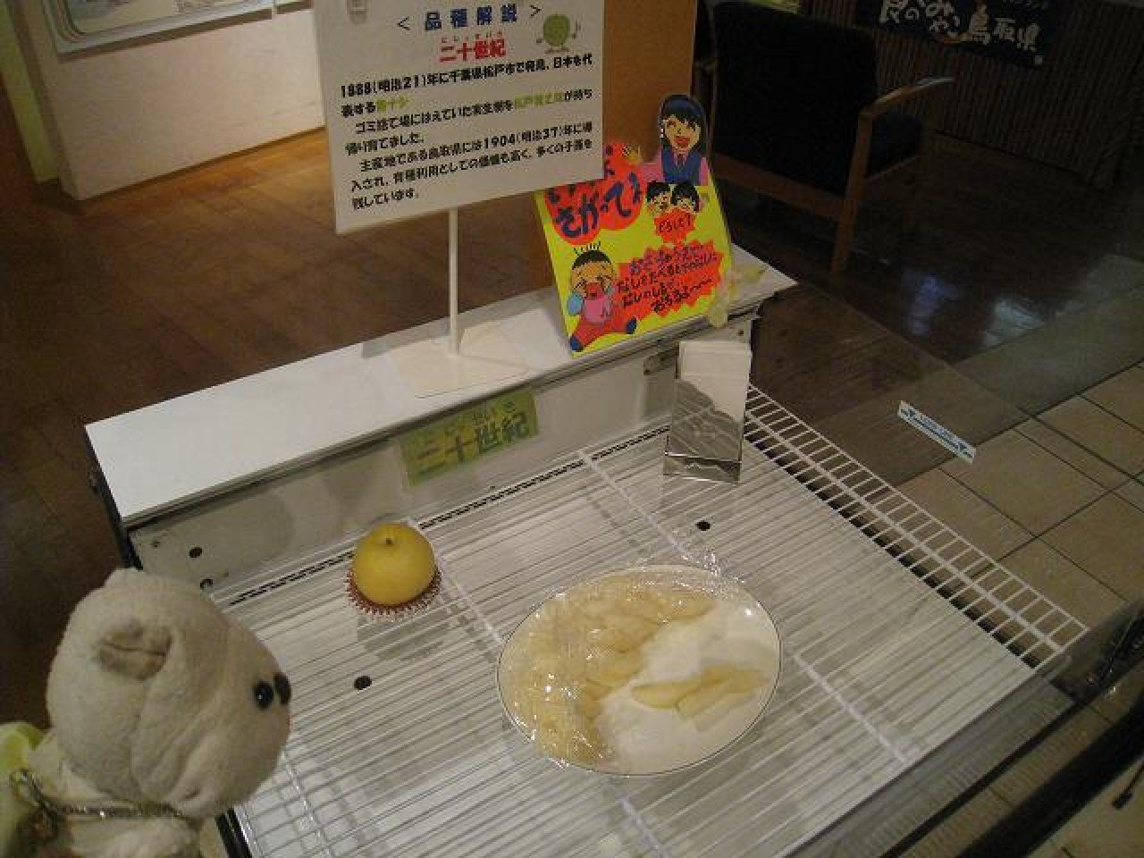 二十世紀梨記念館なしっこ館(5)